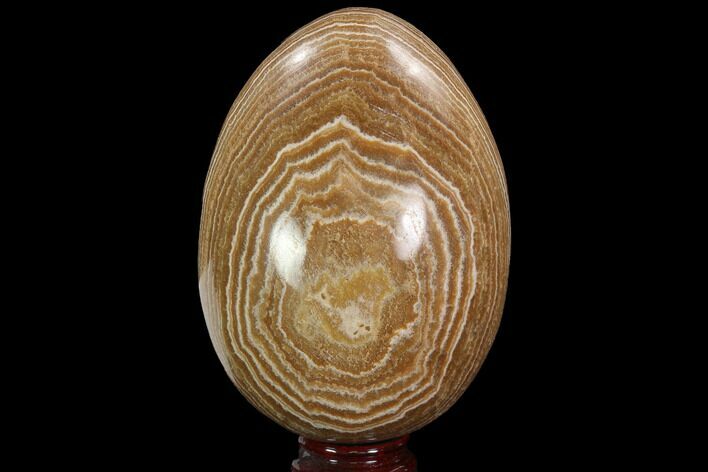 Polished, Banded Aragonite Egg - Morocco #98927